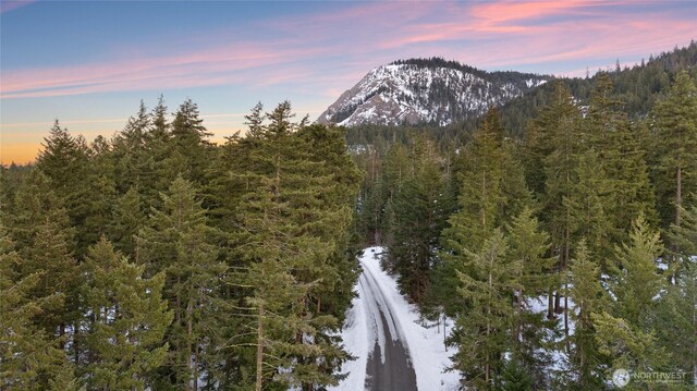 view of mountain feature with a forest view