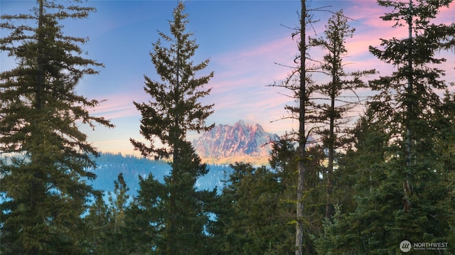 view of mountain feature