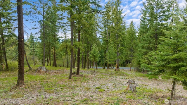 view of nature