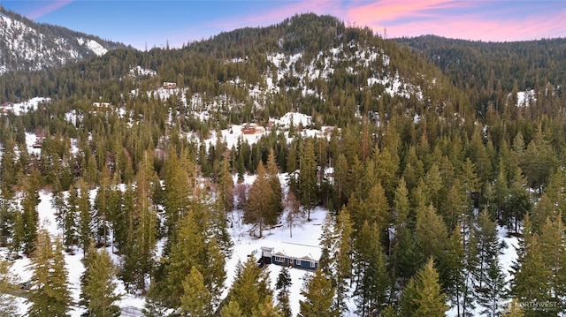 mountain view with a view of trees