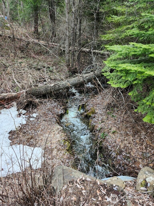 view of nature