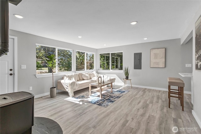 living room featuring light hardwood / wood-style floors and electric panel