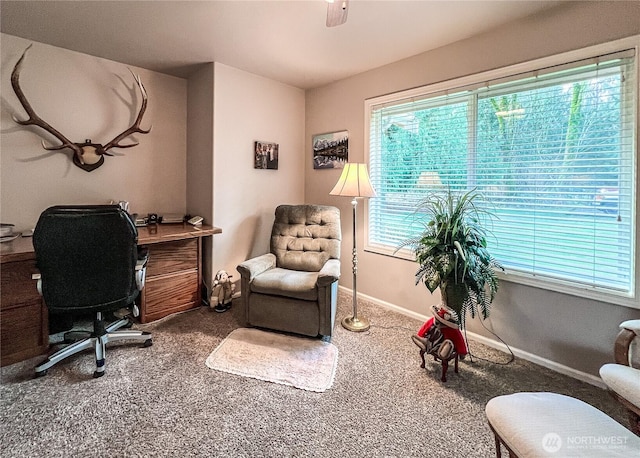 office featuring carpet flooring and baseboards