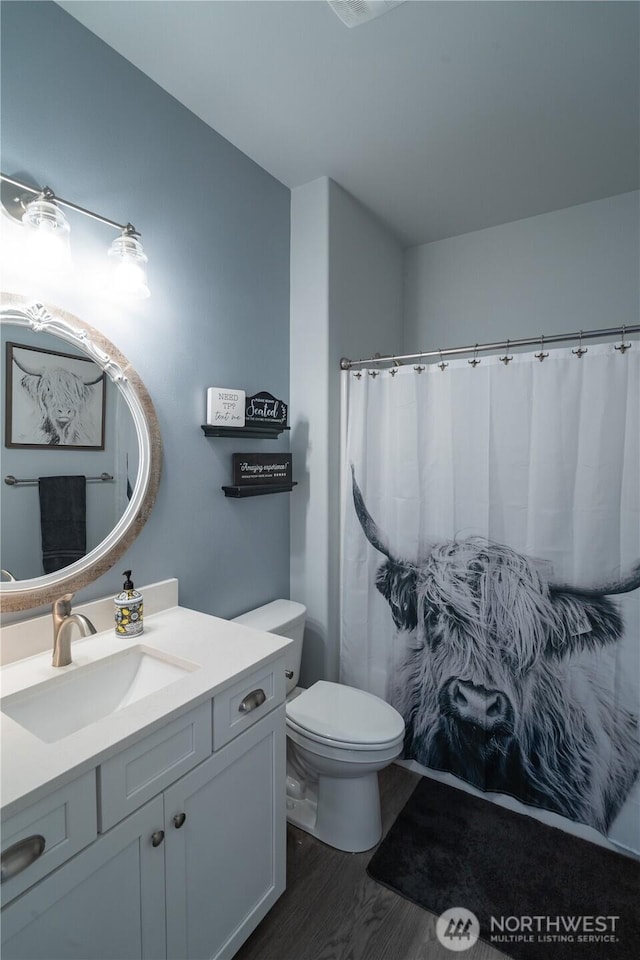 bathroom with toilet, wood finished floors, and vanity