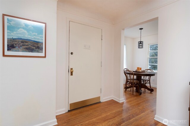 foyer entrance with baseboards and wood finished floors