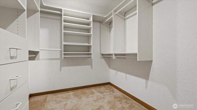 walk in closet featuring light carpet