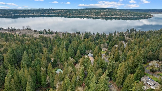 aerial view featuring a view of trees and a water view