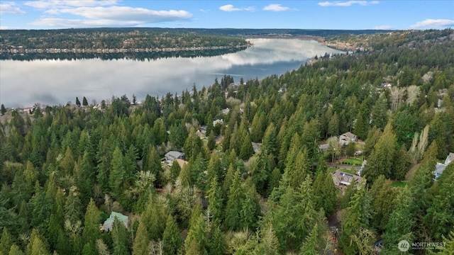 drone / aerial view featuring a water view and a view of trees