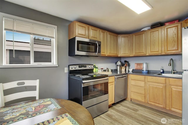 kitchen with sink, stainless steel appliances, and light hardwood / wood-style floors