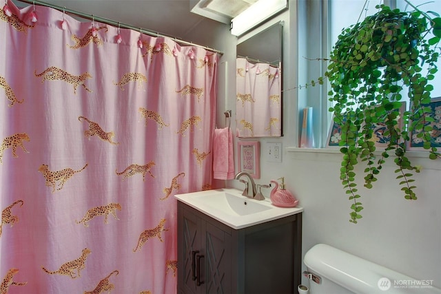 bathroom with vanity and toilet