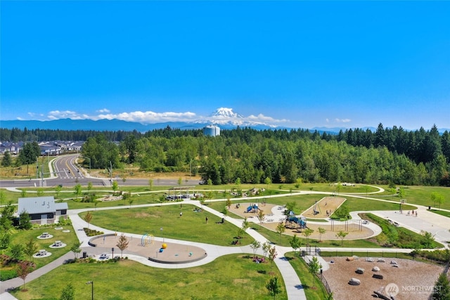 12862 179th St E, Puyallup, WA 98374 - photo 37