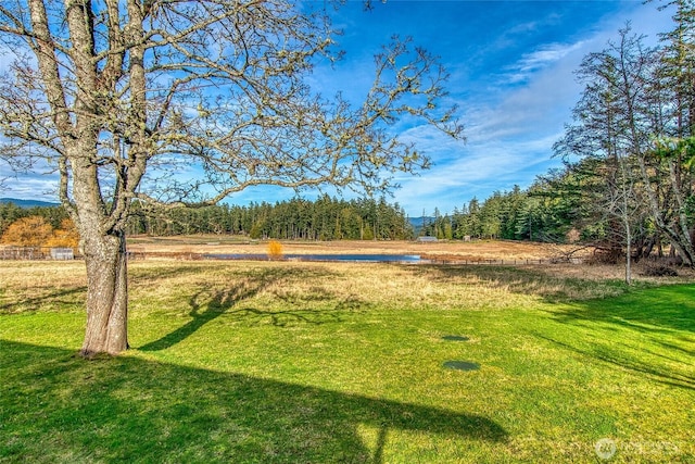 view of yard with a wooded view