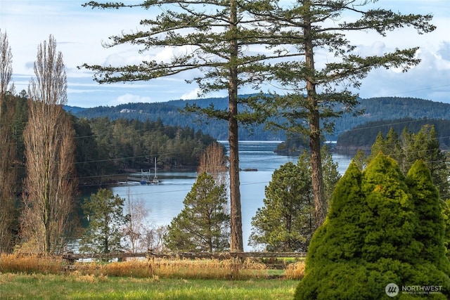water view featuring a forest view