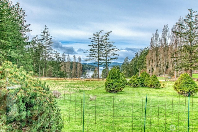 view of yard with fence and a forest view