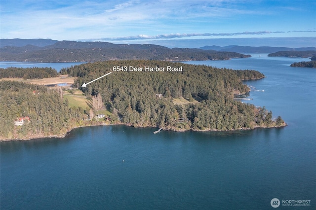 bird's eye view featuring a forest view and a water and mountain view