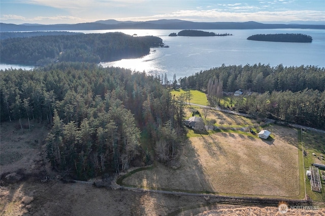 bird's eye view featuring a water and mountain view and a forest view