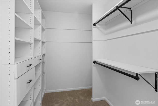 walk in closet with carpet flooring