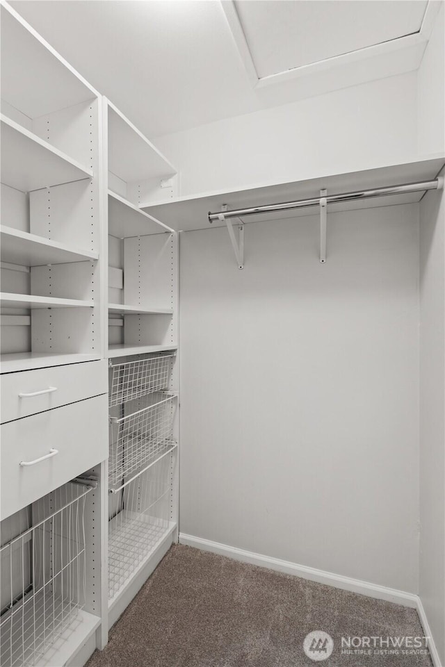 spacious closet with carpet floors