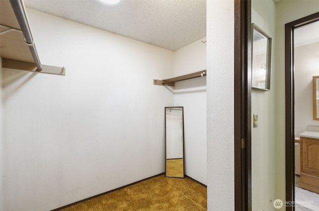 spacious closet with light carpet