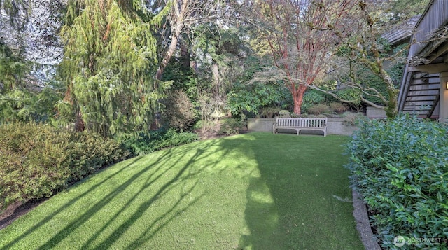 view of yard with stairway