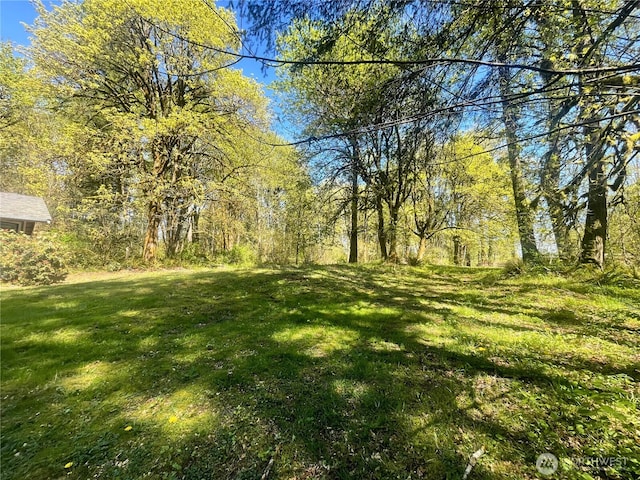 7116 Comanche Ln SW, Olympia, WA 98512 - view of yard