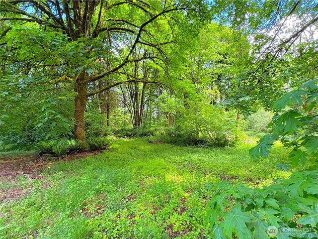 7116 Comanche Ln SW, Olympia, WA 98512 - photo 8