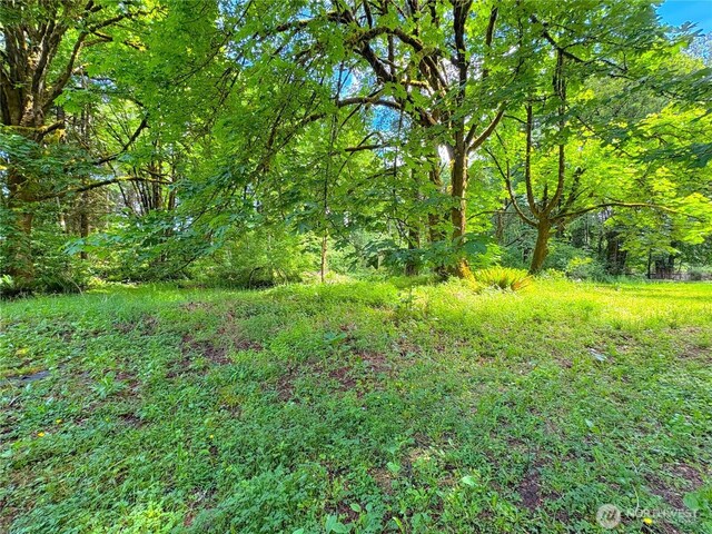 7116 Comanche Ln SW, Olympia, WA 98512 - photo 34