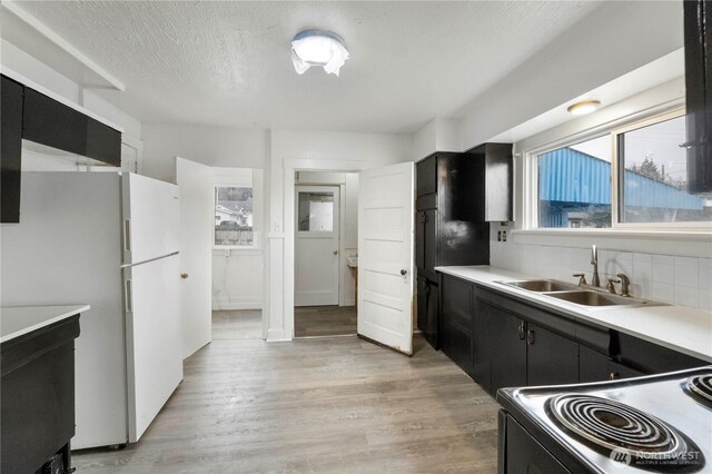 kitchen featuring electric stove, a sink, freestanding refrigerator, light wood finished floors, and dark cabinets