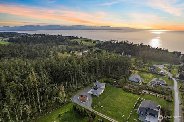 1305 Great Horned Owl Ln, Oak Harbor, WA 98277 - photo 38