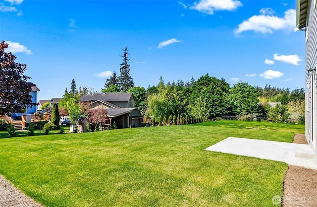 view of yard featuring a patio