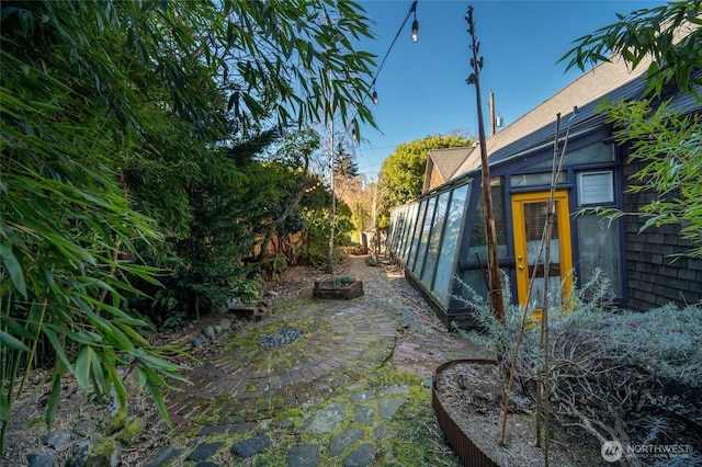 view of yard featuring a patio area