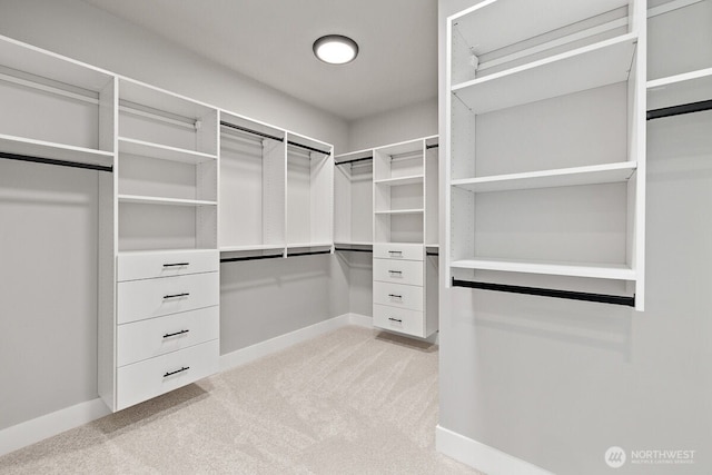 1424 238th St SE, Bothell, WA 98021 - spacious closet with light carpet