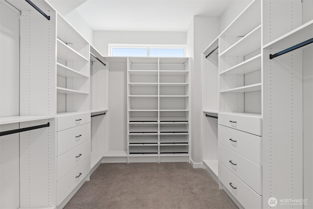 walk in closet with light colored carpet