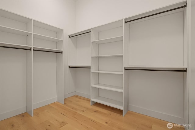 spacious closet with light wood-style floors