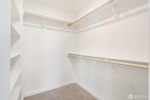 walk in closet featuring carpet flooring