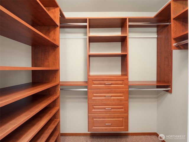 spacious closet featuring carpet flooring