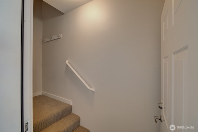 staircase featuring baseboards and carpet