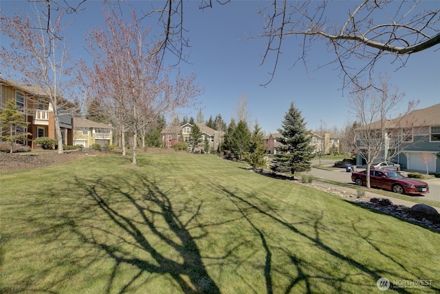 view of yard with a residential view