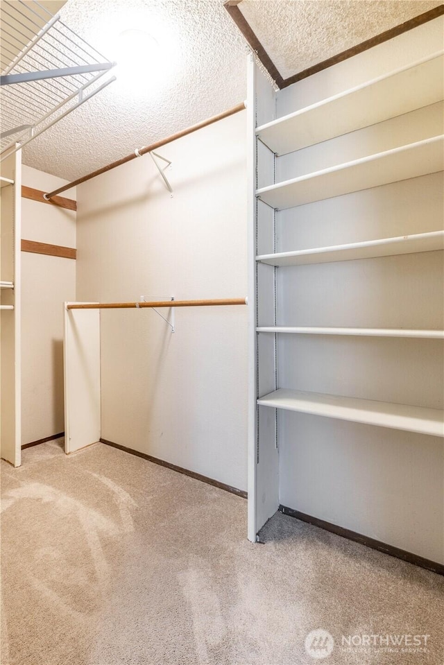 spacious closet featuring light colored carpet