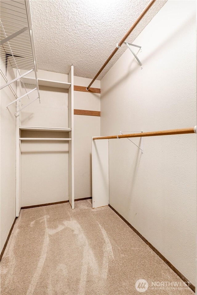 walk in closet featuring carpet flooring