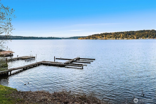 view of dock featuring a water view and a view of trees