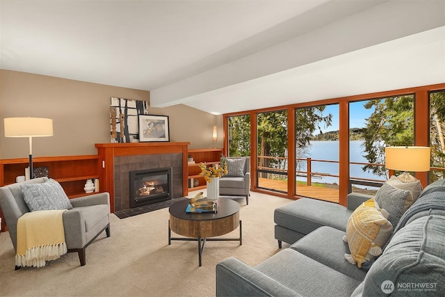 living room with a water view, a fireplace, light carpet, and wainscoting