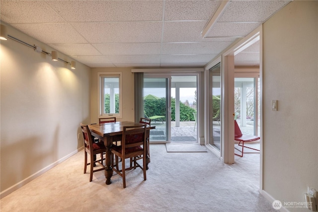 dining space with a paneled ceiling, baseboards, and light colored carpet