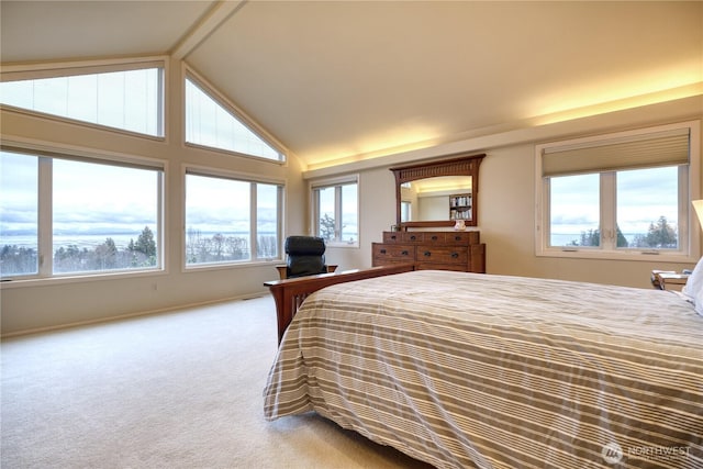 carpeted bedroom featuring high vaulted ceiling and multiple windows