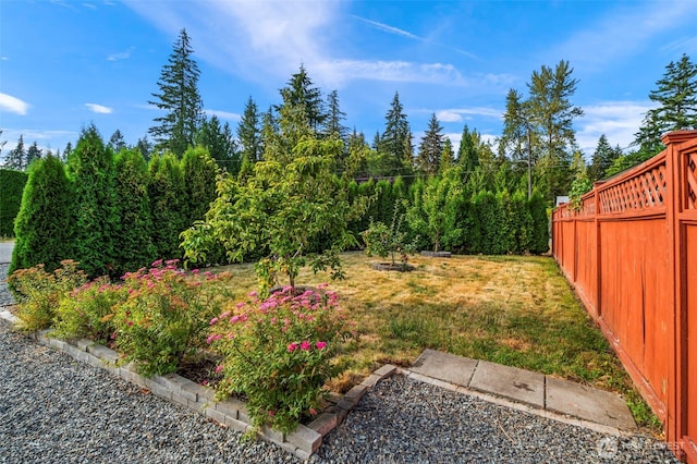 view of yard featuring a fenced backyard