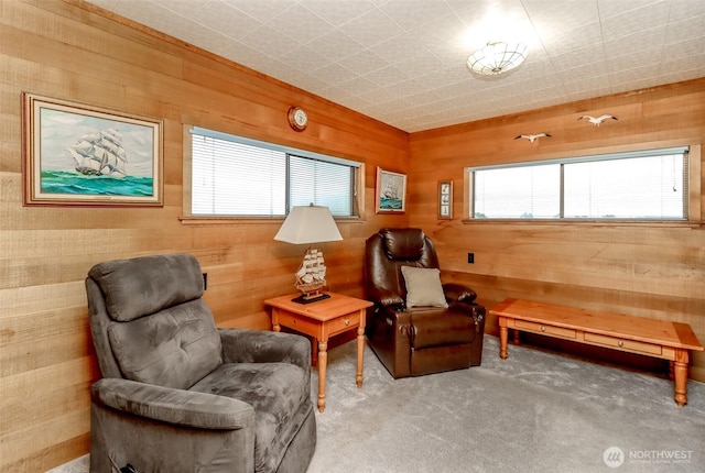 sitting room with wood walls and carpet flooring