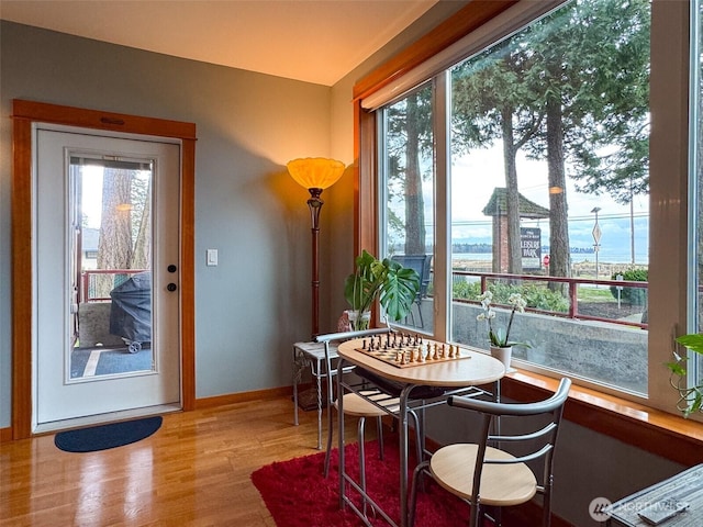 doorway featuring a wealth of natural light, baseboards, and wood finished floors