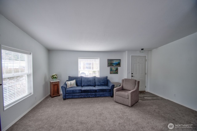 living area featuring carpet