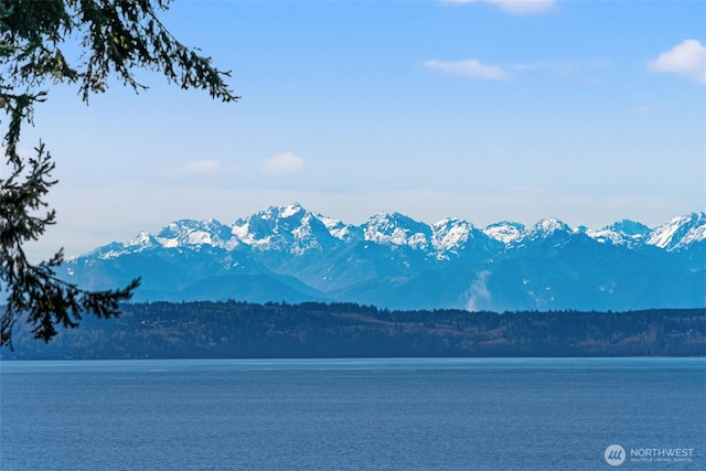 view of mountain feature with a water view