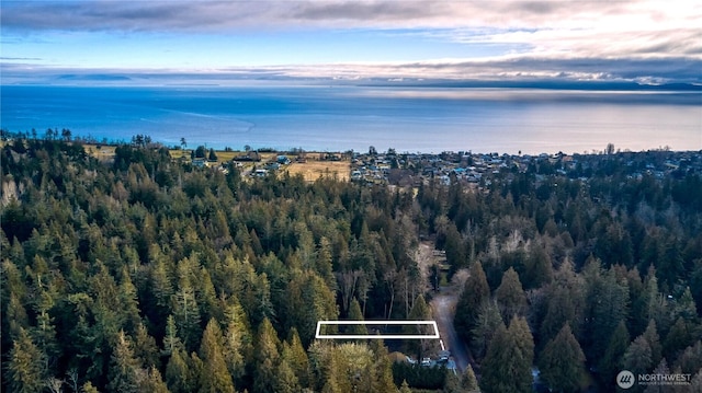 25 Roosevelt Rd, Point Roberts WA, 98281 land for sale